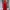 Vintage Coquette Going out dress Wanita red photo 1