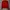 Ellesse Casual Casual shirt Pria red photo 1