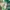 Japanese brand Sportswear Jersey Pria green photo 4