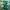 Japanese brand Sportswear Jersey Pria green photo 6