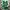 Japanese Brand Sportswear Jersey Pria Green