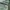 Japanese brand Sportswear Jersey Pria green photo 5