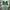 Japanese brand Sportswear Jersey Pria green photo 2