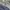 Needles Streetwear Hoody Pria purple gray photo 4