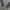 Needles Streetwear Hoody Pria purple gray photo 7