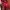 Muslim Pakaian Nasional Wanita red photo 2
