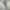 Alexander Wang Y2K Reworked Maxi skirt Wanita white photo 7