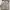 Casual Muslim Baju muslim Wanita cream photo 2