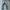 Casual Jeans Pria blue photo 4