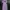 Casual Wanita purple photo 1