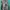 The North Face Casual Windbreaker Pria gray photo 1