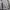 The North Face Casual Windbreaker Pria gray photo 5