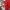 Kappa Vintage Y2K Jersey Pria white red photo 5