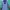 The North Face Gorpcore Windbreaker Pria black blue photo 2
