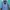 The North Face Gorpcore Windbreaker Pria Black Blue