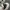 Japanese brand Vintage Streetwear Sneakers Pria white black photo 5