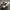 Japanese brand Vintage Streetwear Sneakers Pria white black photo 6