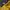 The North Face Gorpcore Windbreaker Pria black yellow photo 6