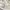 Polo Ralph Lauren Luxury Casual Polo shirt Pria white photo 4