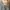 COLORBOX Y2K Casual Crop top Wanita multicolor white photo 1