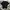 Uniqlo Casual T-shirt Pria black photo 1