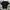 Uniqlo Casual T-shirt Pria Black