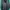 Adidas Sportswear Track jacket Pria black photo 1
