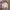Casual Track jacket Pria gray photo 1