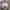 Casual Track jacket Pria gray photo 5