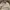 Casual Track jacket Pria gray photo 2