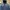 Phenix Gorpcore Puffer jacket Pria blue photo 2
