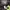 Phenix Gorpcore Puffer jacket Pria blue photo 5