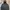 Merrell Gorpcore Windbreaker Pria red photo 1