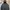 Merrell Gorpcore Windbreaker Pria Red