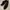 Goth Emo Boots Wanita black photo 3