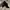 Goth Emo Boots Wanita black photo 6