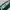 Nike Streetwear Sportswear T-shirt Pria white green photo 2
