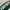 Nike Streetwear Sportswear T-shirt Pria White Green