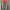 Avirex Vintage Streetwear Bomber jacket Pria green photo 5