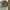 Avirex Vintage Streetwear Bomber jacket Pria green photo 2
