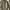Avirex Vintage Streetwear Bomber jacket Pria green photo 4