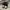 Nike Air Jordan Streetwear Skater Sneakers Wanita white black photo 4