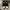 Nike Air Jordan Streetwear Skater Sneakers Wanita white black photo 2