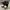Nike Air Jordan Streetwear Skater Sneakers Wanita white black photo 1
