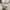 Dickies Casual Hoody Pria white photo 4