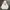 Dickies Casual Hoody Pria white photo 1