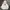 Dickies Casual Hoody Pria White