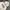 Dickies Casual Hoody Pria white photo 2