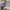 Sportswear Casual Windbreaker Pria yellow photo 6
