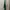 Vintage Sock Pria green navy photo 2